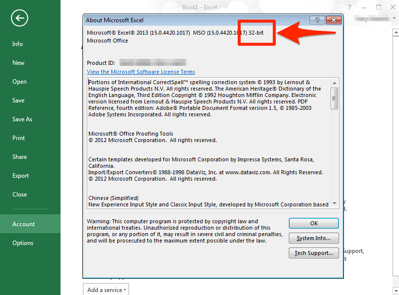 How to check which Excel 2013 version