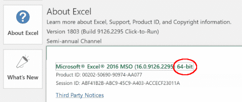 Excel version information